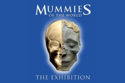 May 5: Teacher Free Day at the Bowers Museum!